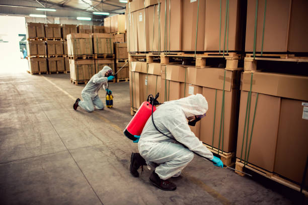 Best Pest Removal Services  in Nevada, IA