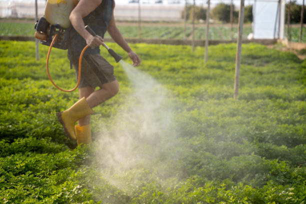 Best Affordable Pest Control Services  in Nevada, IA