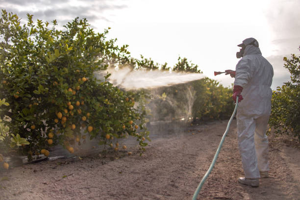 Best Affordable Pest Control Services  in Nevada, IA