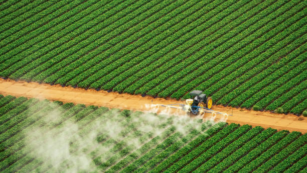 Best Pest Removal Services  in Nevada, IA