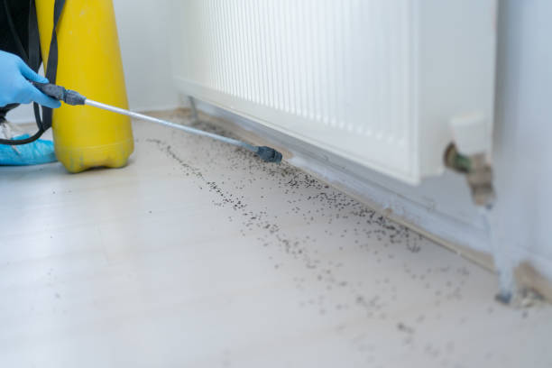 Best Residential Pest Control  in Nevada, IA